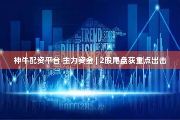 神牛配资平台 主力资金 | 2股尾盘获重点出击