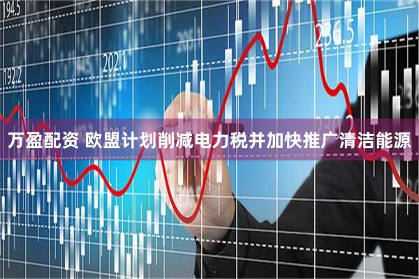 万盈配资 欧盟计划削减电力税并加快推广清洁能源