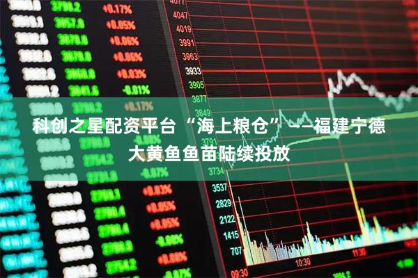 科创之星配资平台 “海上粮仓” ——福建宁德大黄鱼鱼苗陆续投放