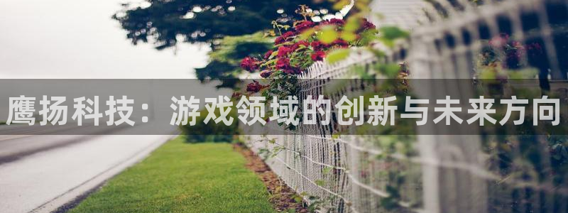奇亿娱乐代理登陆：鹰扬科技：游戏领域的创新与未来方向
