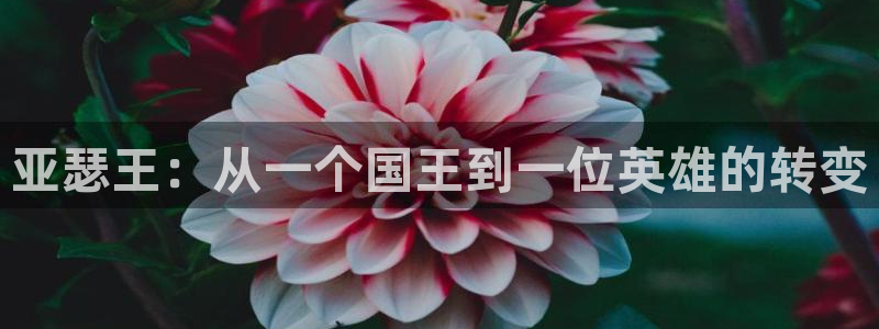 奇亿娱乐2登录：亚瑟王：从一个国王到一位英雄的转变