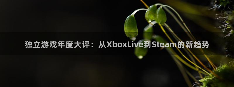 奇亿娱乐Ii：独立游戏年度大评：从XboxLive到Stea