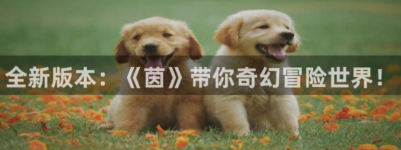 奇亿娱乐官网登录：全新版本：《茵》带你奇幻冒险世界！