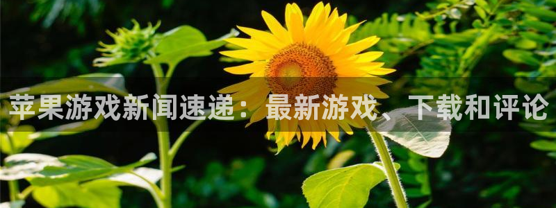 奇亿娱乐测速登陆：苹果游戏新闻速递：最新游戏、下载和评论